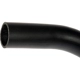 Purchase Top-Quality DORMAN (OE SOLUTIONS) - 573-074 - Fuel Filler Hose pa3