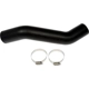 Purchase Top-Quality DORMAN (OE SOLUTIONS) - 573-076 - Fuel Filler Hose pa2