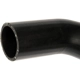 Purchase Top-Quality DORMAN (OE SOLUTIONS) - 573-076 - Fuel Filler Hose pa3