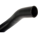 Purchase Top-Quality DORMAN (OE SOLUTIONS) - 573-086 - Fuel Filler Hose pa3