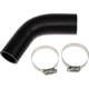 Purchase Top-Quality DORMAN (OE SOLUTIONS) - 573-093 - Fuel Hose pa2