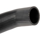 Purchase Top-Quality Fuel Hose by DORMAN (OE SOLUTIONS) - 573-096 pa5