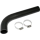 Purchase Top-Quality DORMAN (OE SOLUTIONS) - 573-145 - Fuel Hose pa1