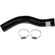 Purchase Top-Quality DORMAN (OE SOLUTIONS) - 573-154 - Fuel Hose pa1