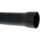 Purchase Top-Quality DORMAN (OE SOLUTIONS) - 573-155 - Fuel Hose pa2