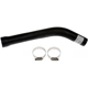 Purchase Top-Quality DORMAN (OE SOLUTIONS) - 573-155 - Fuel Hose pa5