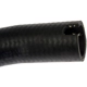 Purchase Top-Quality DORMAN (OE SOLUTIONS) - 573-162 - Fuel Filler Neck Hose pa3