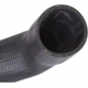 Purchase Top-Quality Fuel Hose by SPECTRA PREMIUM INDUSTRIES - FNH065 pa3