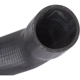 Purchase Top-Quality Fuel Hose by SPECTRA PREMIUM INDUSTRIES - FNH065 pa5