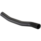 Purchase Top-Quality Fuel Hose by SPECTRA PREMIUM INDUSTRIES - FNH155 pa8