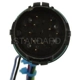 Purchase Top-Quality Harnais d'injection de carburant par BLUE STREAK (HYGRADE MOTOR) - IFH8 pa4