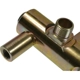 Purchase Top-Quality Fuel Injector Rail by BLUE STREAK (HYGRADE MOTOR) - FIR5 pa2