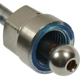 Purchase Top-Quality BLUE STREAK (HYGRADE MOTOR) - GDL112 - Direct Injection High Pressure Fuel Pump pa2