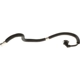 Purchase Top-Quality Fuel Line Assembly by BLUE STREAK (HYGRADE MOTOR) - GDL755 pa5