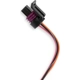 Purchase Top-Quality Fuel Pressure Sensor by HOLLEY - 554-104 pa2