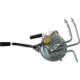 Purchase Top-Quality AGILITY - 4011082 - Fuel Pump and Sender Assembly pa1
