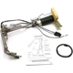 Purchase Top-Quality DELPHI - HP10000 - Fuel Pump And Hanger With Sender pa10