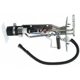 Purchase Top-Quality Fuel Pump And Hanger With Sender by DELPHI - HP10089 pa8