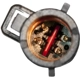 Purchase Top-Quality Ensemble de pompe à essence par DELPHI - HP10127 pa11