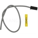 Purchase Top-Quality Fuel Pump Connector by BLUE STREAK (HYGRADE MOTOR) - S2152 pa3