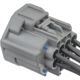 Purchase Top-Quality BLUE STREAK (HYGRADE MOTOR) - S2919 - Fuel Pump Control Module Connector pa3