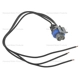 Purchase Top-Quality Fuel Pump Connector by BLUE STREAK (HYGRADE MOTOR) - HP4480 pa3