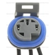 Purchase Top-Quality Connecteur de pompe à carburant par BLUE STREAK (HYGRADE MOTOR) - HP4480 pa4