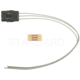 Purchase Top-Quality Fuel Pump Connector by BLUE STREAK (HYGRADE MOTOR) - S1111 pa10