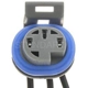 Purchase Top-Quality Connecteur de pompe à carburant par BLUE STREAK (HYGRADE MOTOR) - S637 pa10