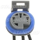 Purchase Top-Quality Fuel Pump Connector by BLUE STREAK (HYGRADE MOTOR) - S637 pa15