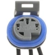 Purchase Top-Quality Connecteur de pompe à carburant par BLUE STREAK (HYGRADE MOTOR) - S637 pa3