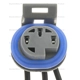 Purchase Top-Quality Connecteur de pompe à carburant par BLUE STREAK (HYGRADE MOTOR) - S637 pa5