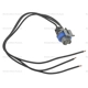 Purchase Top-Quality Fuel Pump Connector by BLUE STREAK (HYGRADE MOTOR) - S637 pa6