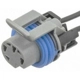 Purchase Top-Quality Connecteur de pompe à carburant par BLUE STREAK (HYGRADE MOTOR) - S641 pa10