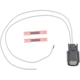 Purchase Top-Quality STANDARD - PRO SERIES - S2810 - Fuel Pump Connector pa1