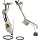 Purchase Top-Quality Fuel Pump Hanger Assembly by CARTER - P74632S pa1