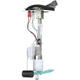 Purchase Top-Quality DELPHI - HP10257 - Fuel Pump Hanger Assembly pa1