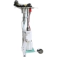 Purchase Top-Quality DELPHI - HP10257 - Fuel Pump Hanger Assembly pa3
