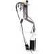 Purchase Top-Quality Fuel Pump Hanger Assembly by DELPHI - HP10000 pa24