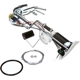 Purchase Top-Quality Fuel Pump Hanger Assembly by DELPHI - HP10000 pa26