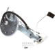 Purchase Top-Quality Fuel Pump Hanger Assembly by DELPHI - HP10059 pa1