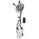 Purchase Top-Quality Ensemble de pompe à carburant par DELPHI - HP10149 pa2