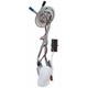 Purchase Top-Quality Ensemble de pompe à carburant par DELPHI - HP10149 pa20