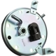 Purchase Top-Quality Fuel Pump Hanger Assembly by DELPHI - HP10203 pa8