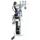 Purchase Top-Quality Ensemble de pompe à carburant par DELPHI - HP10214 pa36