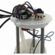 Purchase Top-Quality Fuel Pump Module Assembly by AGILITY - AGY-00310290 pa9