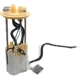 Purchase Top-Quality AUTOBEST - F8718A - Fuel Pump Module Assembly pa7