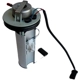 Purchase Top-Quality Fuel Pump Module Assembly by AUTOBEST - F3167A pa1