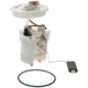 Purchase Top-Quality Fuel Pump Module Assembly by CARTER - P76120M pa1
