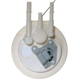 Purchase Top-Quality Fuel Pump Module Assembly by CARTER - P74750M pa1